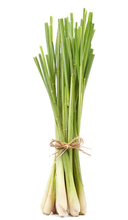 Load image into Gallery viewer, Subtle Body Moisturizer