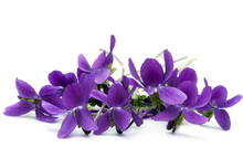 Load image into Gallery viewer, Subtle Body Moisturizer