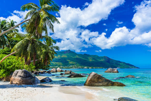 Load image into Gallery viewer, Island Getaway Foam Dispensing Hand Soap